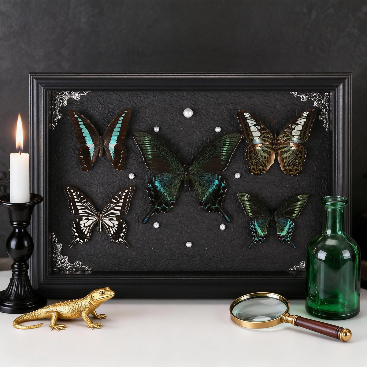 Real Framed Butterfly Taxidermy Collection - Set of 5 in Shadow Box Display - Natural Wood Frame with Museum Quality Preservation - for Home Decor, Wall Art, Gift