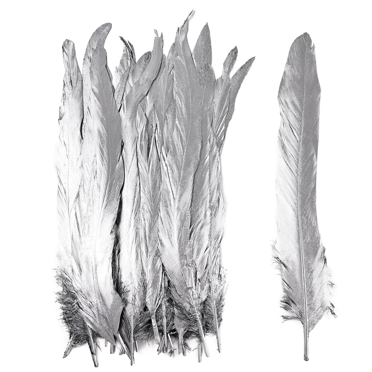 iHUFeather Natural Rooster Tail Feathers 50pcs 10-12inch Long Rooster Coque Tail Feathers Bulk for DIY Crafts Costume and Halloween Party Performances Decoration(Silver)