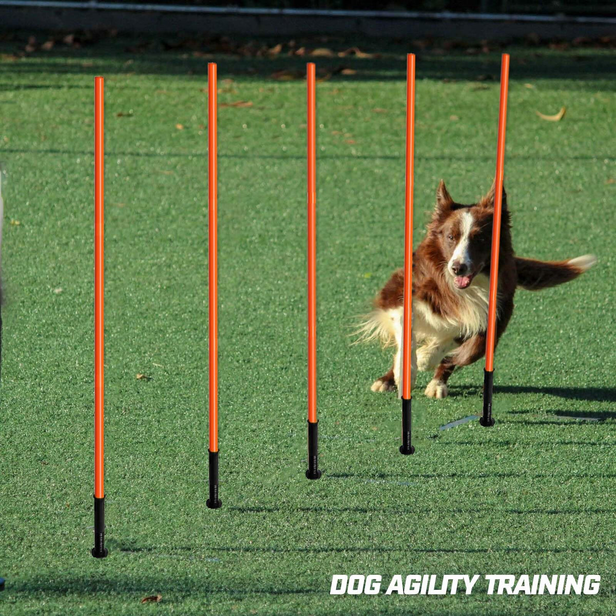 AKABIKE Agility Training Poles Set (Spike/Water/Rubber Base with 3.3ft/1m to 4.9ft/1.5m Poles)