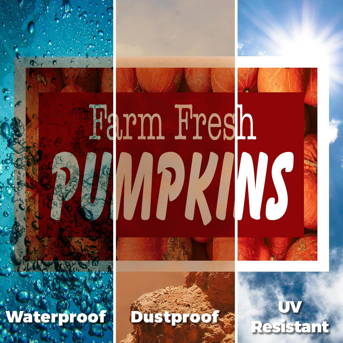 Farm Fresh Pumpkins Yard Sign 2 Pack of 12 Inch x 16 Inch Double Sided Weatherproof Heavy-Duty Plastic with Stake | Seasonal Favorites, Local Farms, Freshly Picked | Made in USA