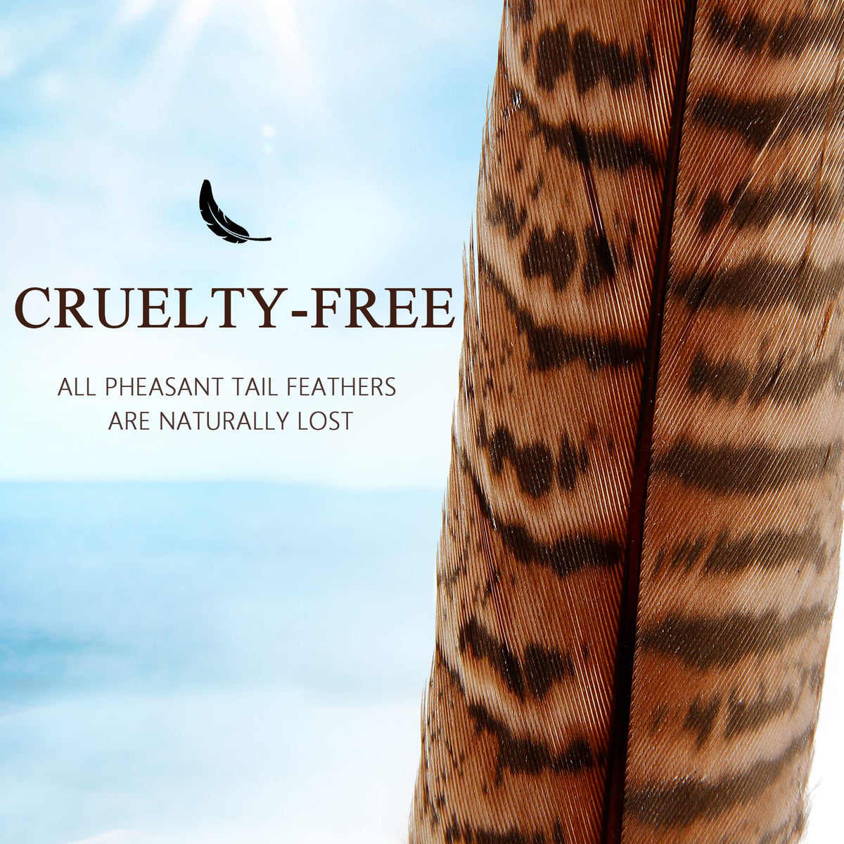 20pcs Female Pheasant Feather Natural Ringneck Tails Feathers 10-12inch 25-30cm for Crafts Home Wedding Party Performance DIY Decoration Pheasant Feather,Female Pheasant Feathers