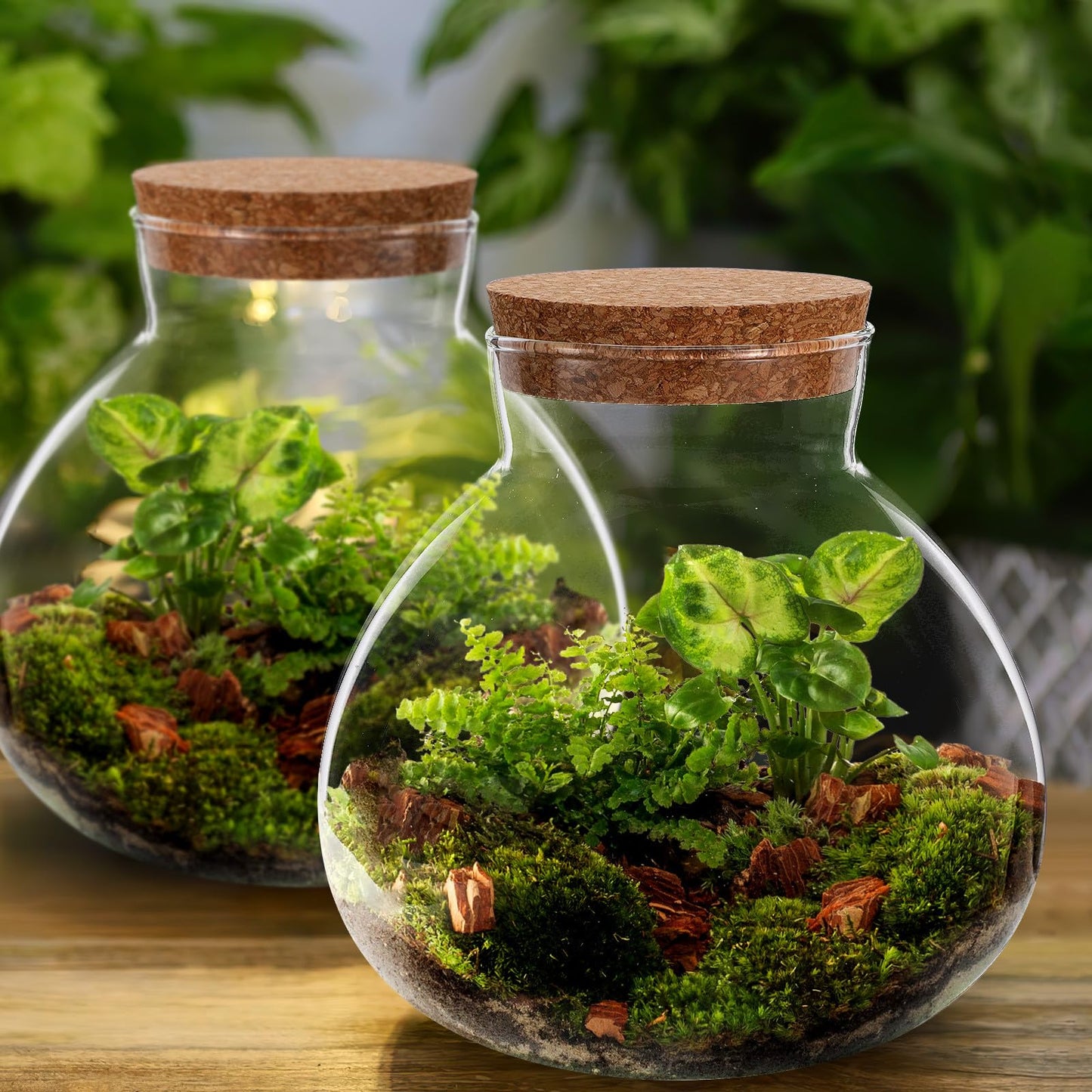 NUOBESTY Glass Terrarium Jar with Cork Lid, 6x6.3 Inch Closed Terrarium for Succulent Moss and Fern, DIY Miniature Desktop Garden for Home & Office Decor (No Plants)