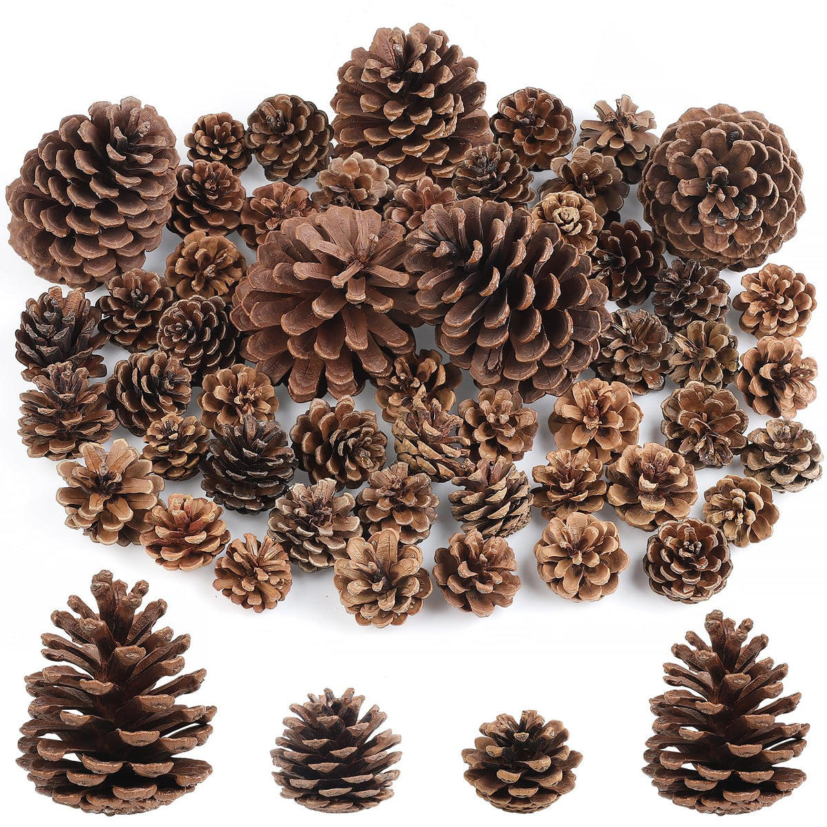 Wlicon 55 PCS Pine Cones Decorations Natural Pinecones, Large Medium & Mini Sizes Pinecones for Table Christmas Tree Crafts Gifts Thanksgiving Fall and Xmas Home Decor DIY Ornaments