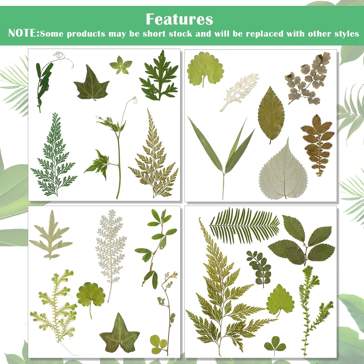 Timtin 84 Pieces Dried Pressed Leaves Flowers for Resin Mini Dried Flowers for Crafts Greenery Assorted for Art DIY Handmade Bookmarks 4 Bags(Vivid Style)