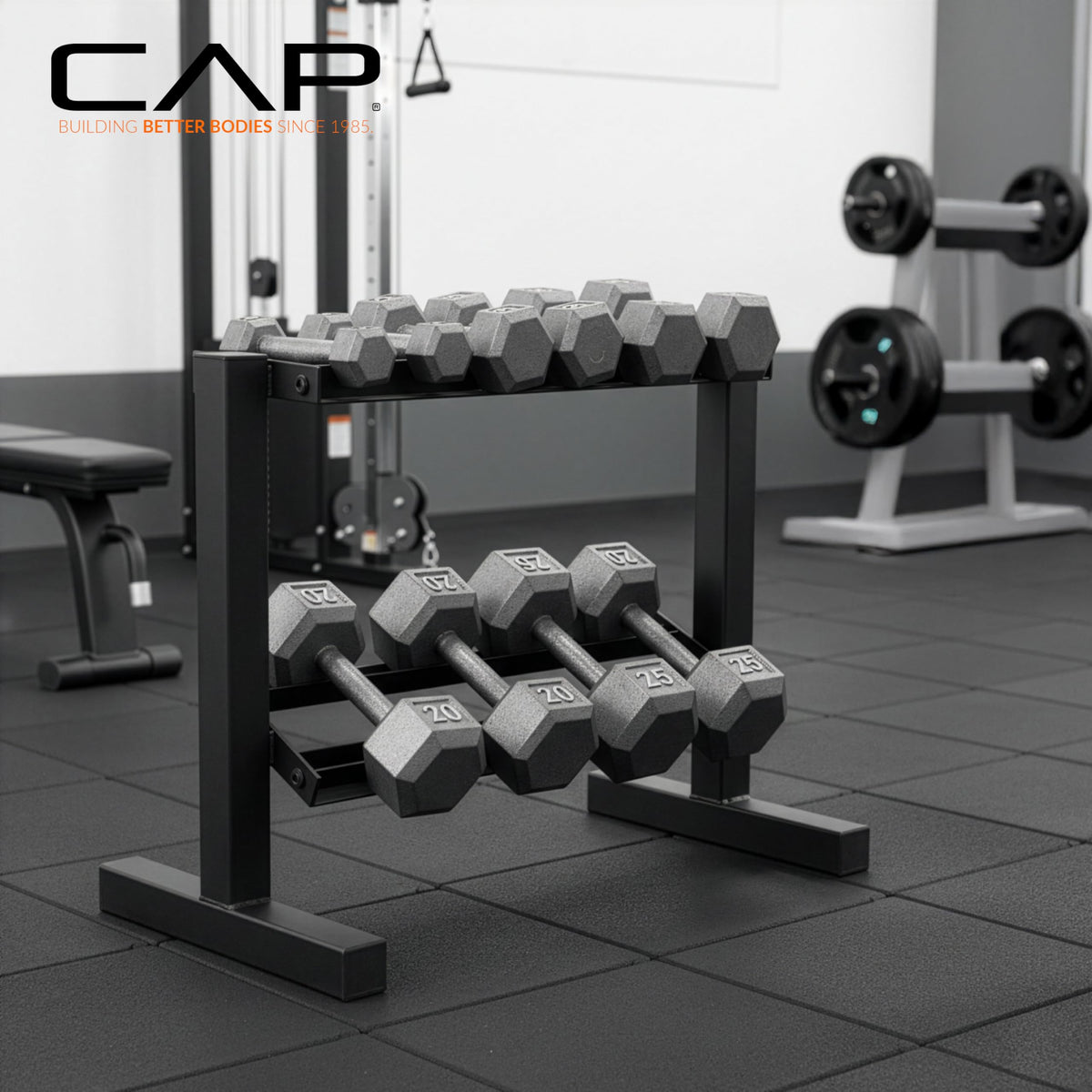 CAP Black 24-Inch Dumbbell Storage Rack for Home Gym, 2-Tier Heavy-Duty Steel Weight Rack for Hex Dumbbells, Holds 5lb - 25lb Pairs