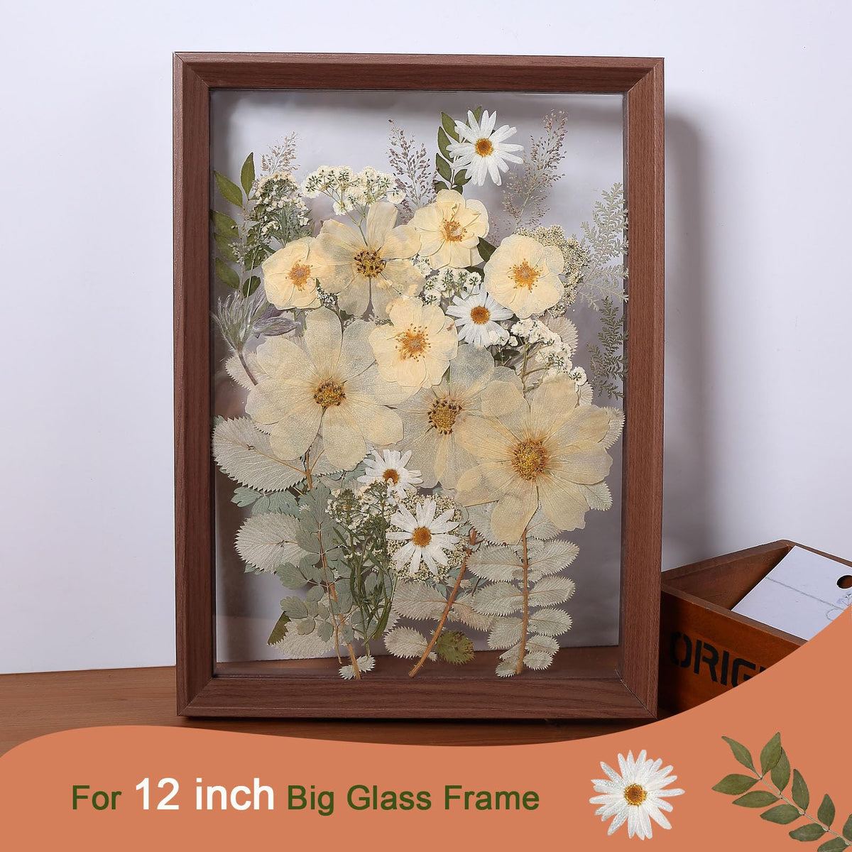 12“ Large Dried Pressed Flowers for Art Crafts, Real Dry Natural Flower Leaf Fruit Bulk for Resin Mold, Cake Decor, Glass Frame (Winter Silver)
