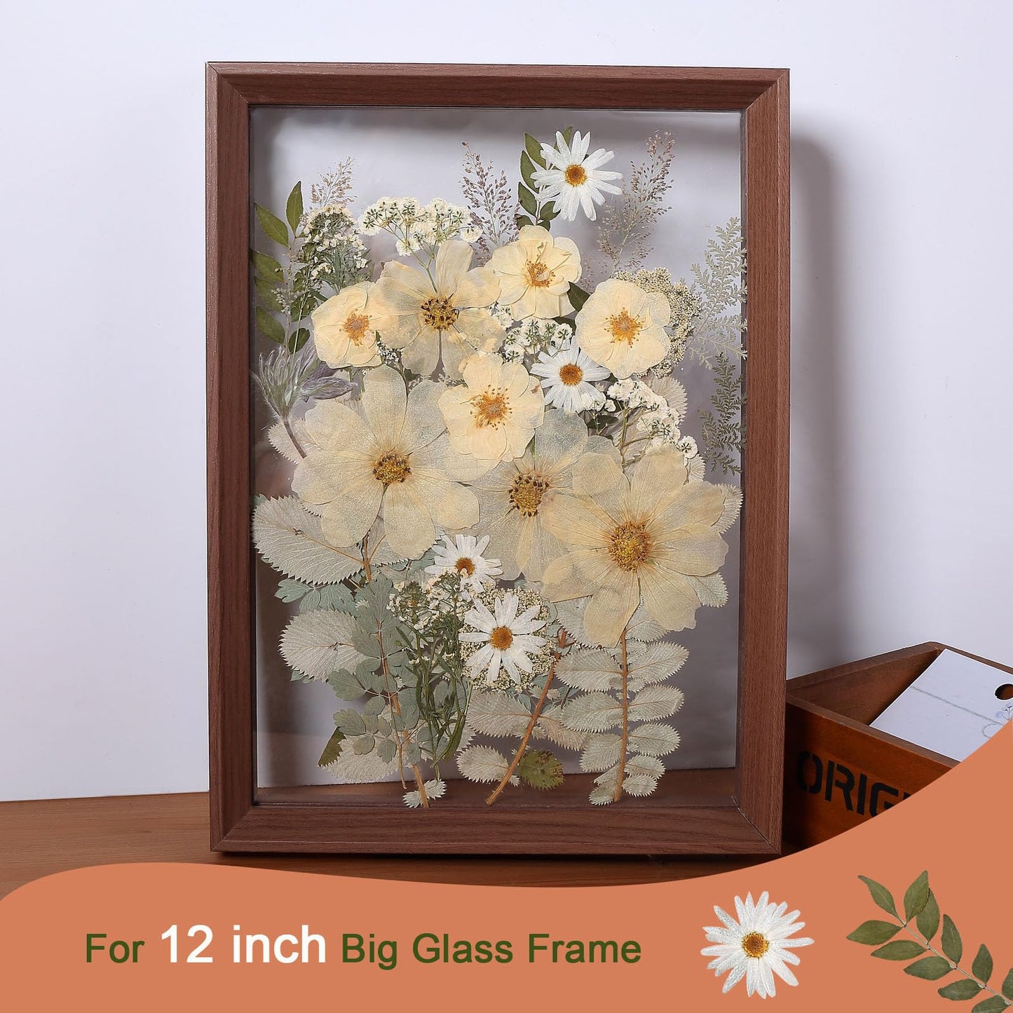 12“ Large Dried Pressed Flowers for Art Crafts, Real Dry Natural Flower Leaf Fruit Bulk for Resin Mold, Cake Decor, Glass Frame (Winter Silver)