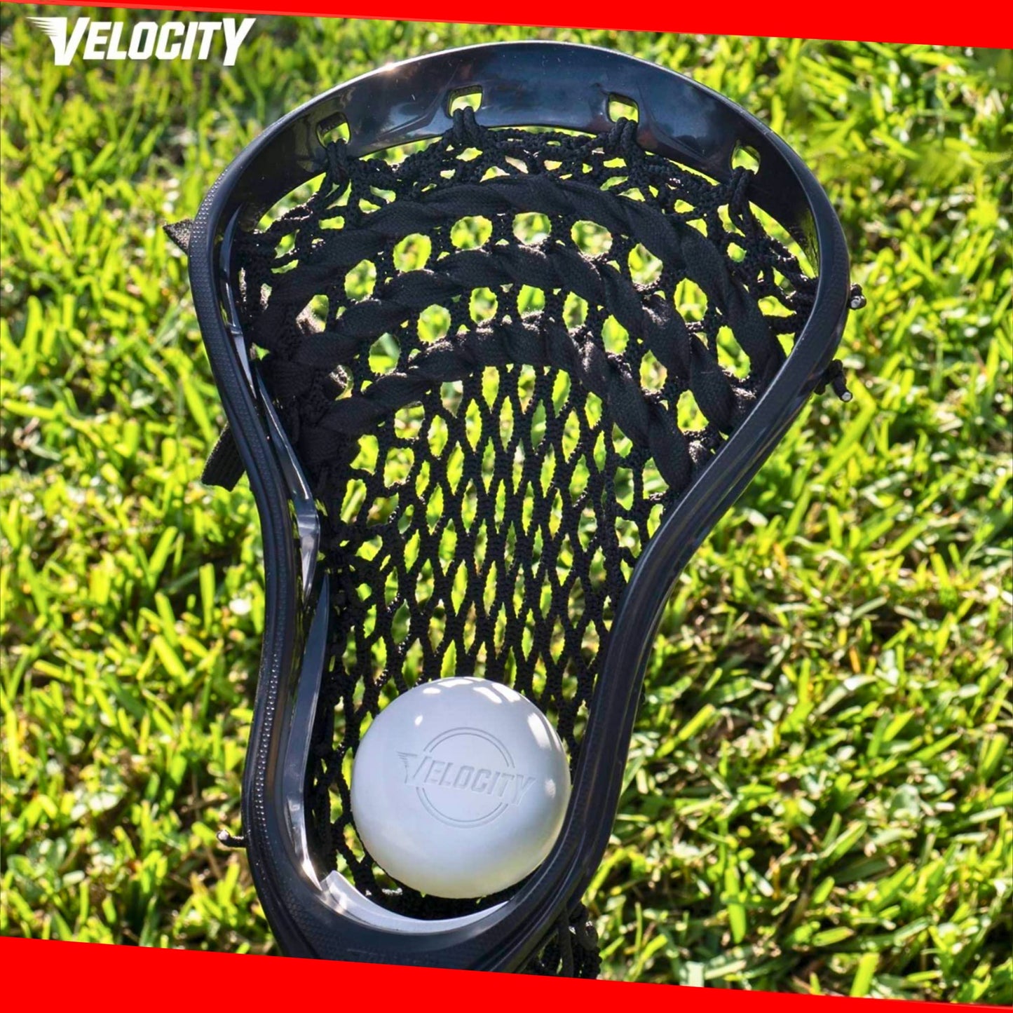 Velocity Practice Lacrosse Balls - 1, 2, 3, 6, 12, 18, 24, 36, 60 and 120 Packs - Official Size and Weight - Yellow