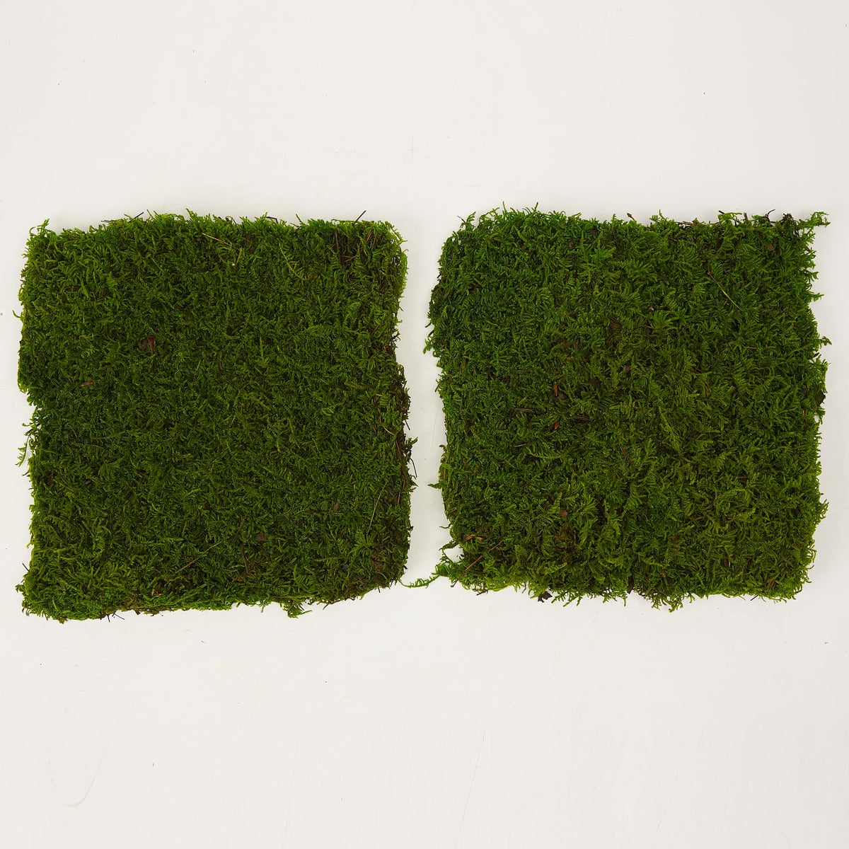 Prefleur Preserved Sheet Moss Natural Green Decorative Real Natural Green DIY Kit Gardenning Art Wall Decor Florist Decor Easter Table Decor Wedding 2 sq.ft.Green-B