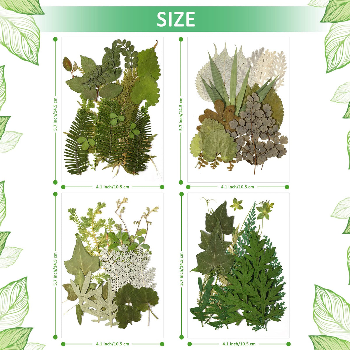 Timtin 84 Pieces Dried Pressed Leaves Flowers for Resin Mini Dried Flowers for Crafts Greenery Assorted for Art DIY Handmade Bookmarks 4 Bags(Vivid Style)