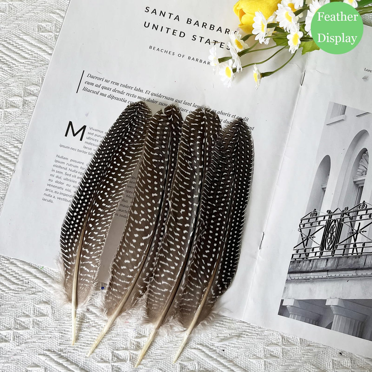 50PCS Natural Spotted Feathers Pheasant Feathers for Craft Clothing Jewelry Accessories Decoration (Guinea Fowl Wing Feather 6-8")
