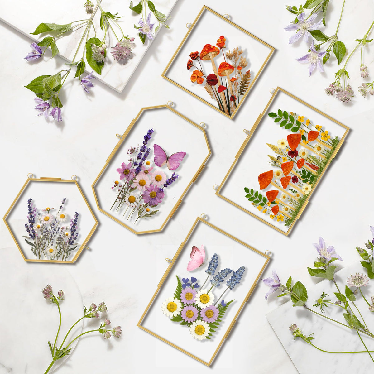 BABUFINE Pressed Flower Frames with Tweezers, Wall Hanging Double Glass Picture Frames with Chain for Dried Flowers Plants Wall Decor,Only Frame (Gold-5PCS)