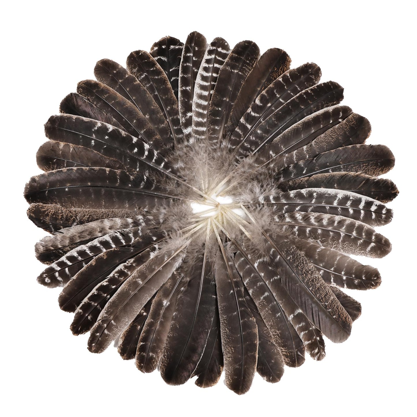 Natural Turkey Feathers, 30pcs 8-11 inch (20-27cm) Bulk Feathers for DIY Jewelry Hat Wedding Home Party Dream Catcher Supplies
