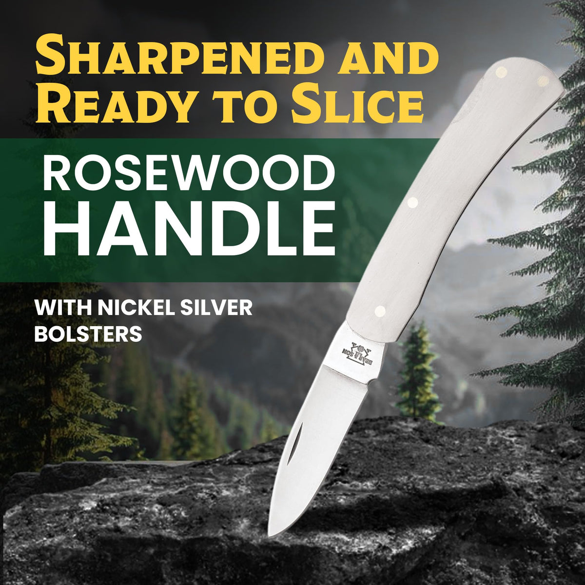 BEAR & SON 125 Executive Lockback Pocket Knife – Small Traditional Stainless Steel Folding EDC w/Brushed Handle, High Carbon Stainless Drop Point Plain Edge Blade, Manual Nail Nick Opening, USA Made