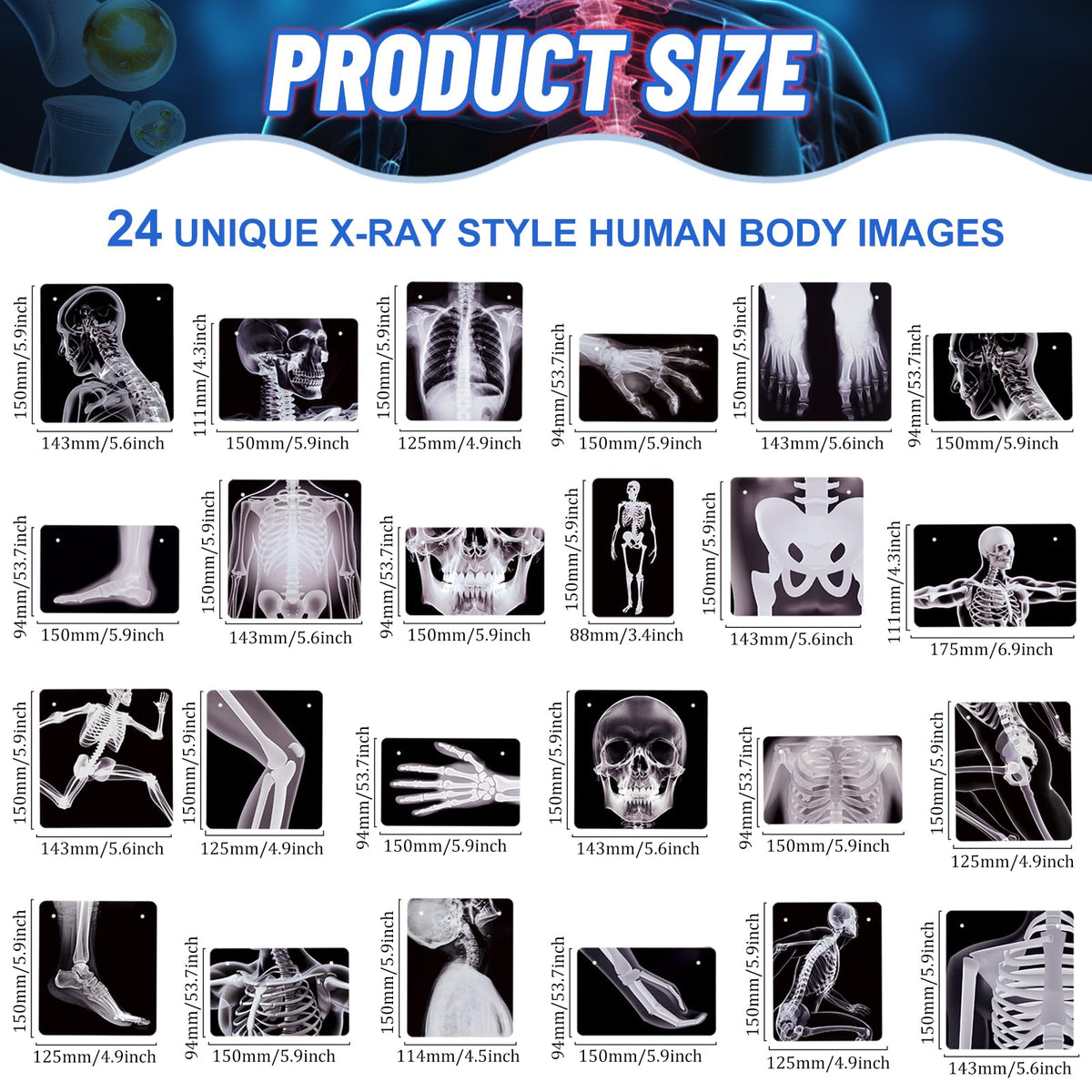 4 Strings X-Ray Skeleton Banner Decorations, Pre-Strung Medical Radiology Anatomy Garland with 24 X-Ray Body Part Images for Doctor Nurse Graduation, Halloween Party, Clinic Classroom Science Décor