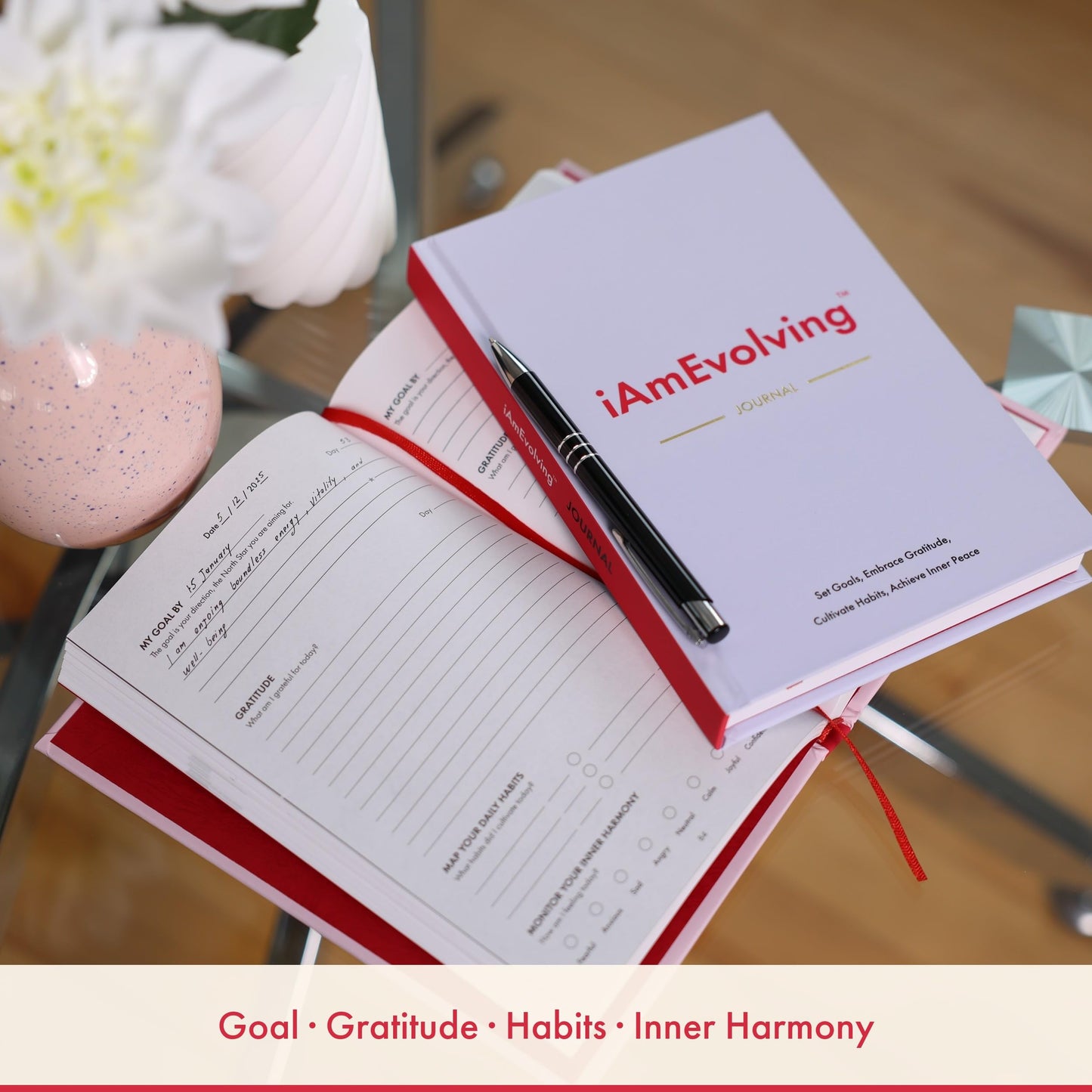 Daily Gratitude, Goal Setting & Habit Tracker Journal for Women & Men with 9-Point Emotional Wellness Scale — iAmEvolving™ 288-Page Hardcover Personal Growth Planner (Columbia Blue Cover)