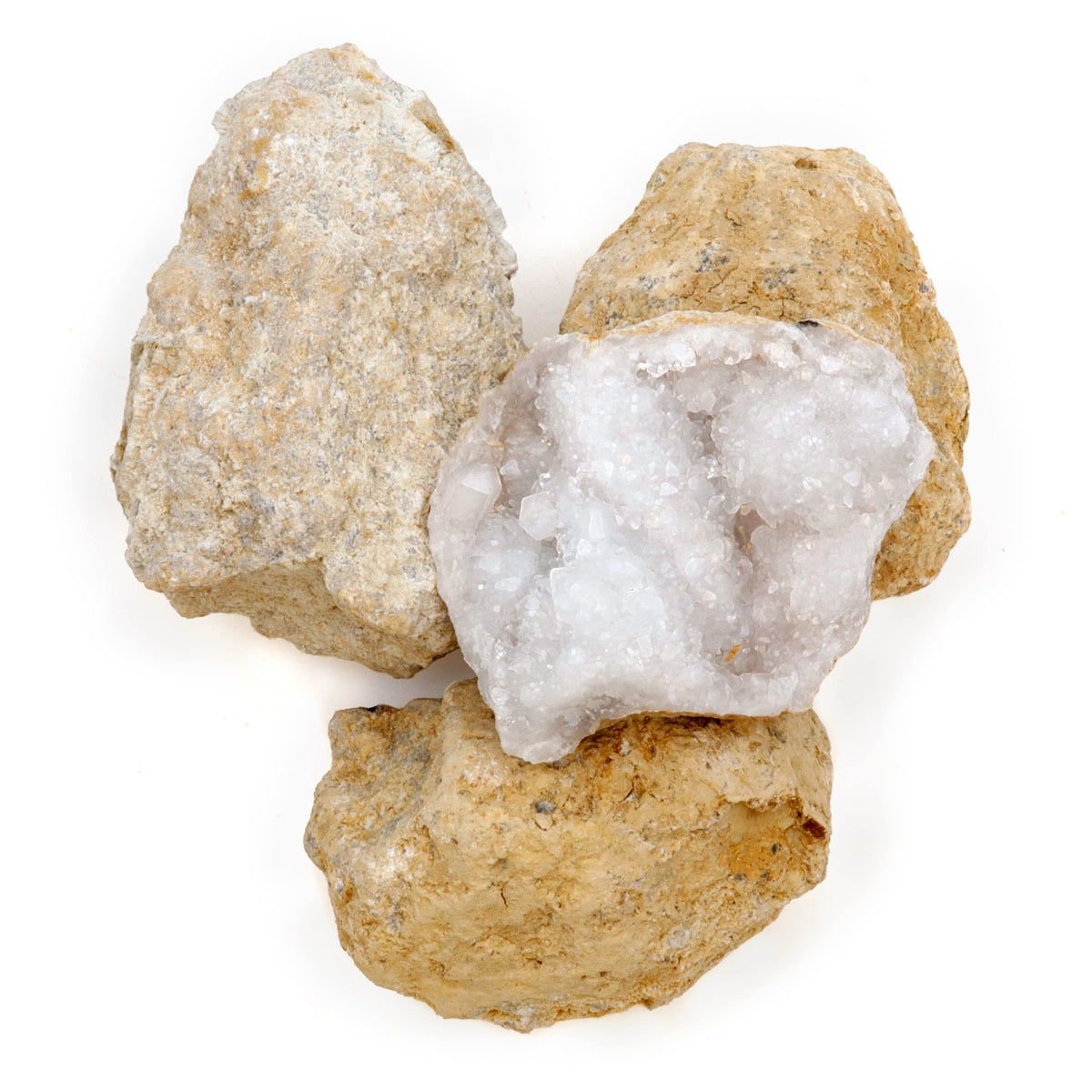 DANCING BEAR 25 Break Your Own Geodes, (Medium 1-1.5") 90% Hollow, Crack Open & Discover Amazing Surprise Crystals Inside! Educational Info and Instructions Included, Fun Party Favors & Prizes