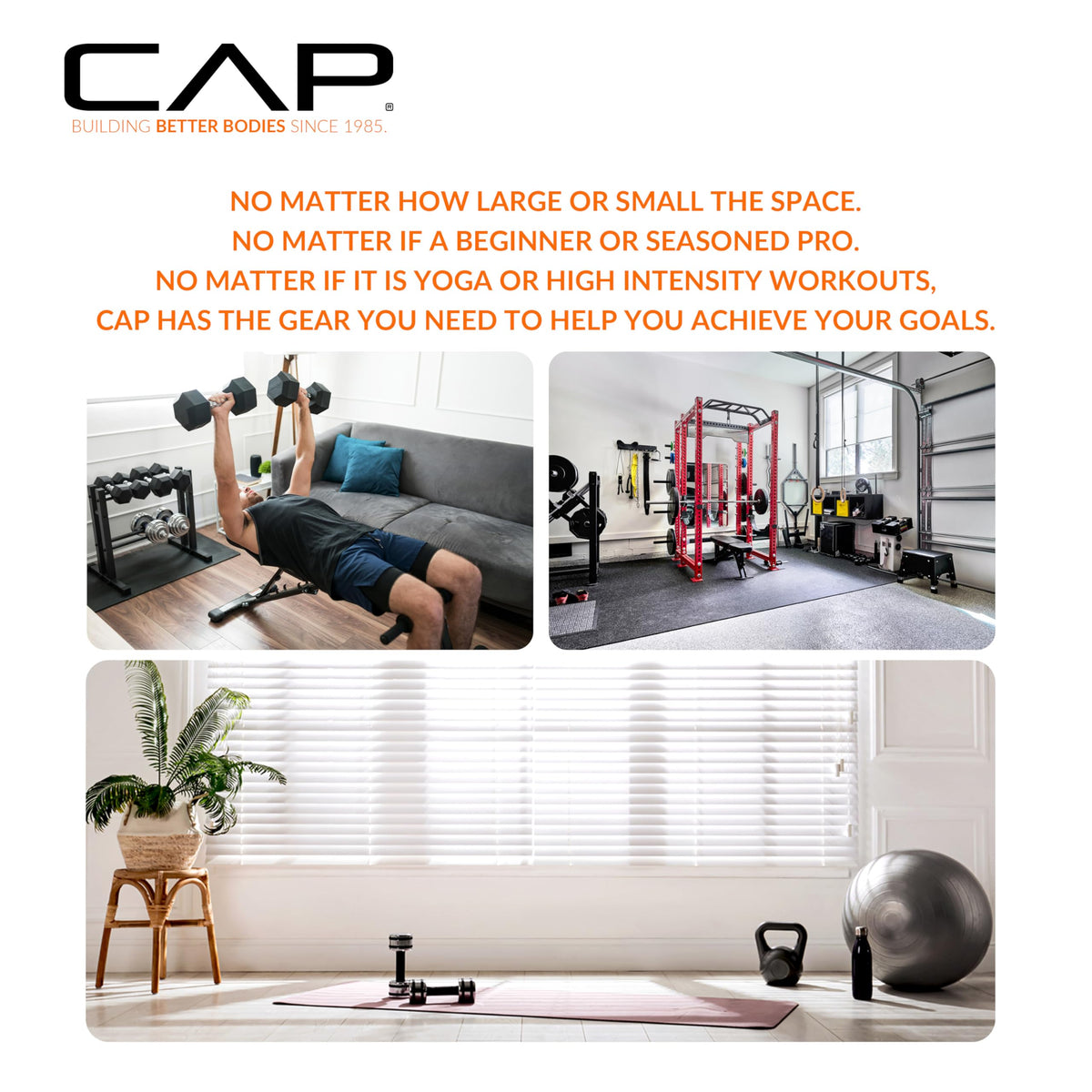 CAP Barbell 12 lb Total Body Workout Weighted Bar - Blue | Exercise Bar for Strength Training, Yoga, Pilates, Resistance Training, and Home Gym Workouts