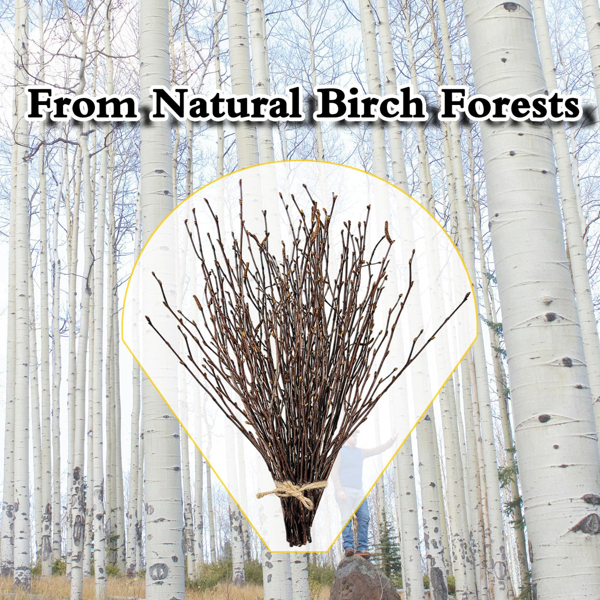 17 Inch Natural Birch Branches Dried Birch Twigs Wreath Making Supplies Dried Plants for Rustic Home Decor Easter Stems Vase Filler DIY Crafts Vases Tall Wreath Christmas Decoration Wedding (30Pcs)