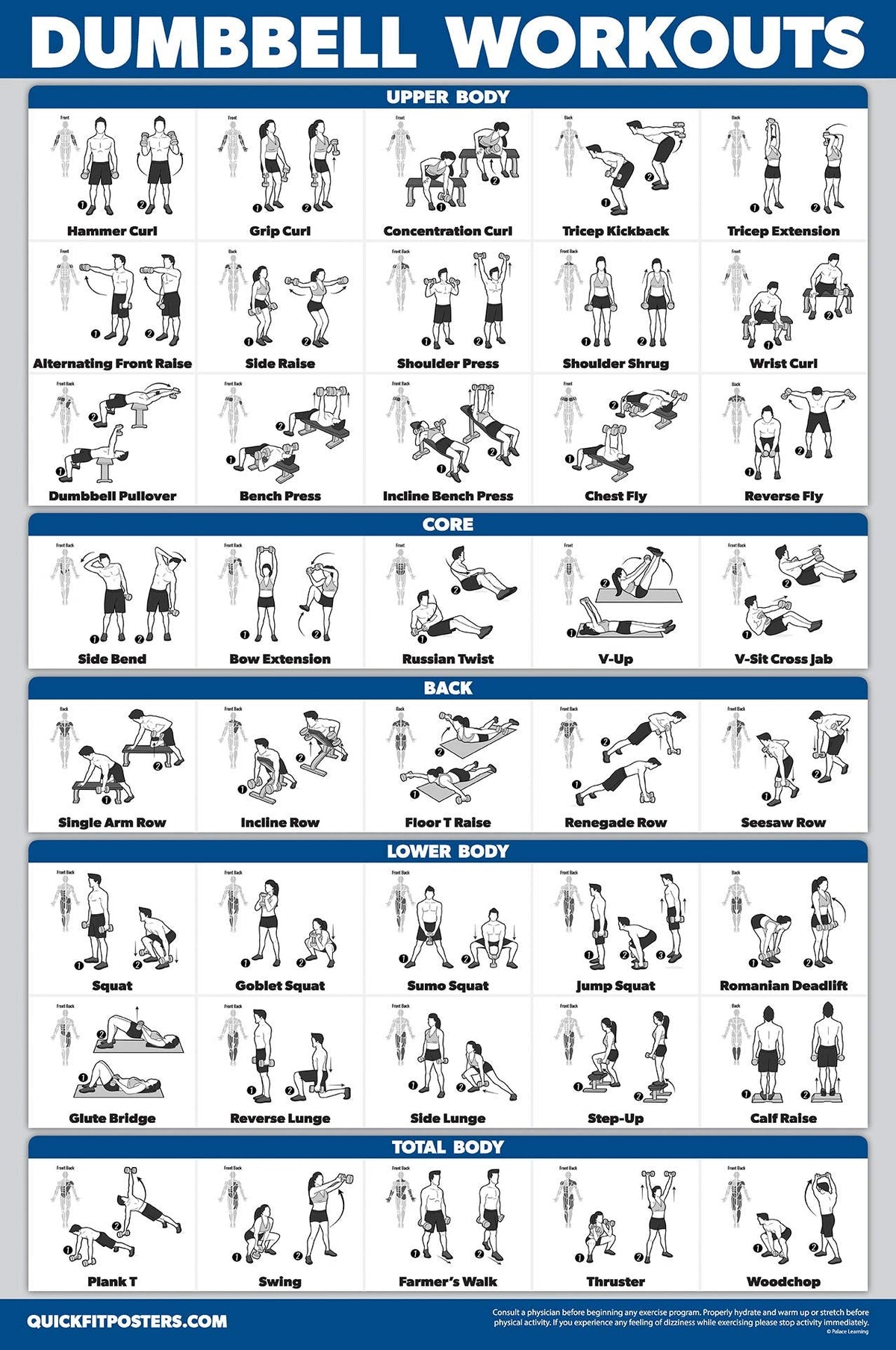 Palace Learning 4 Pack - Cable Machine Workouts + Dumbbell Workouts Vol 1 & 2 + Bodyweight Exercises - Set of 4 Workout Charts (LAMINATED, 18” x 24”)