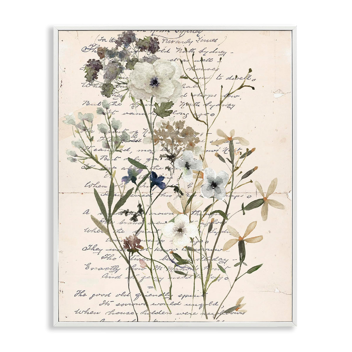 Stupell Industries Vintage Pressed Flowers White Framed Giclee Wall Art Design by Carol Robinson, 11 x 14