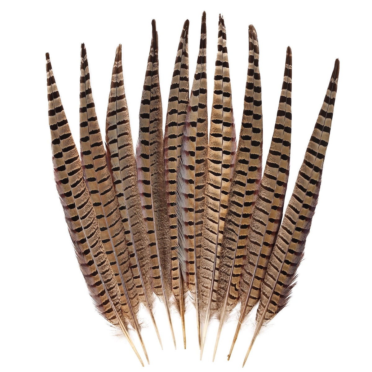 FeelfunFeather 5pcs Pheasant Feather 16-18inch 40-45cm Natural Male Ringneck Tails Feathers for DIY Crafts Home Wedding Party Carnival Decoration