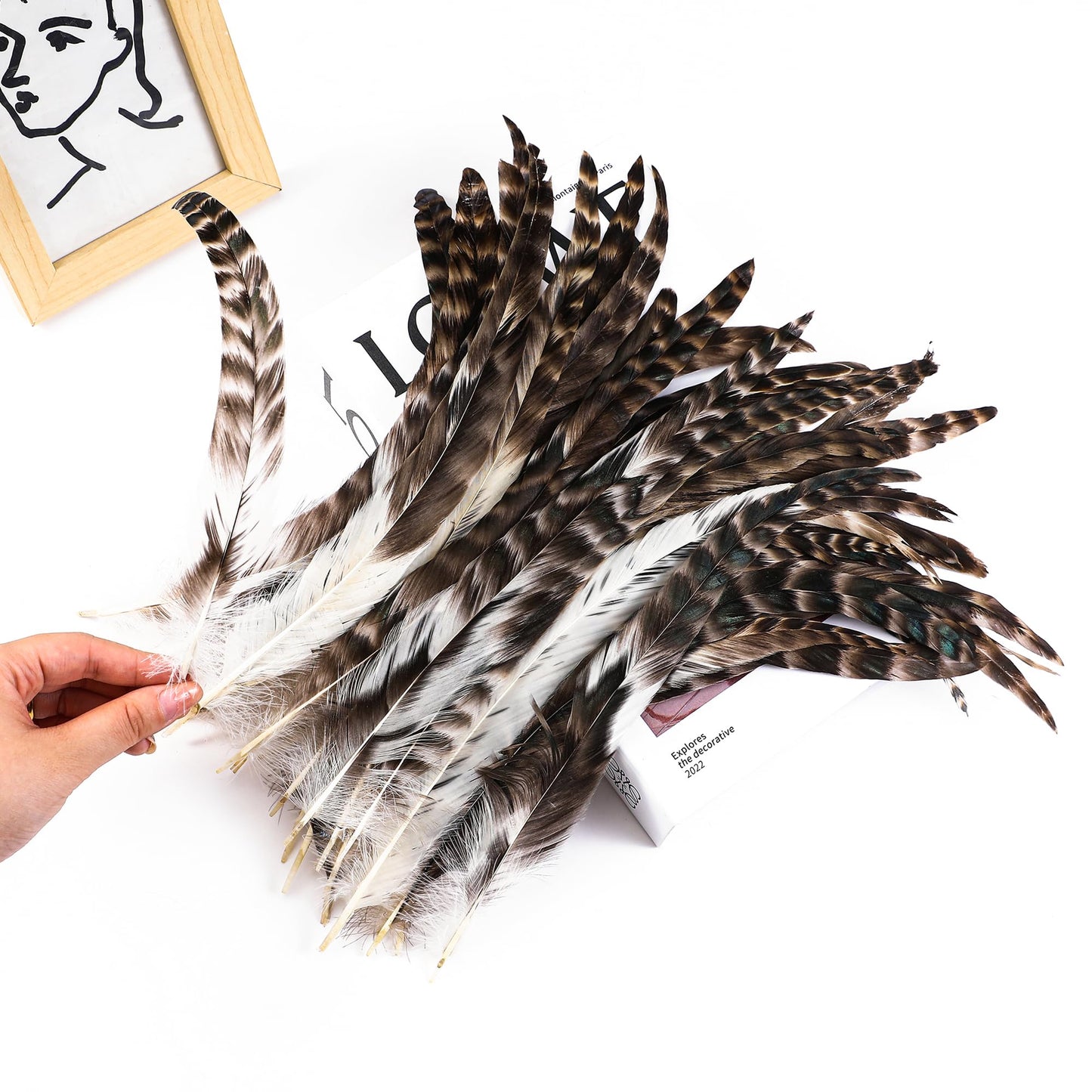 Holmgren 180pcs 12-14inch Rooster Tail Feathers - Natural Long Rooster Tail Feathers Bulk for DIY Crafts Hats Costume, Holiday Themed Party Decoration
