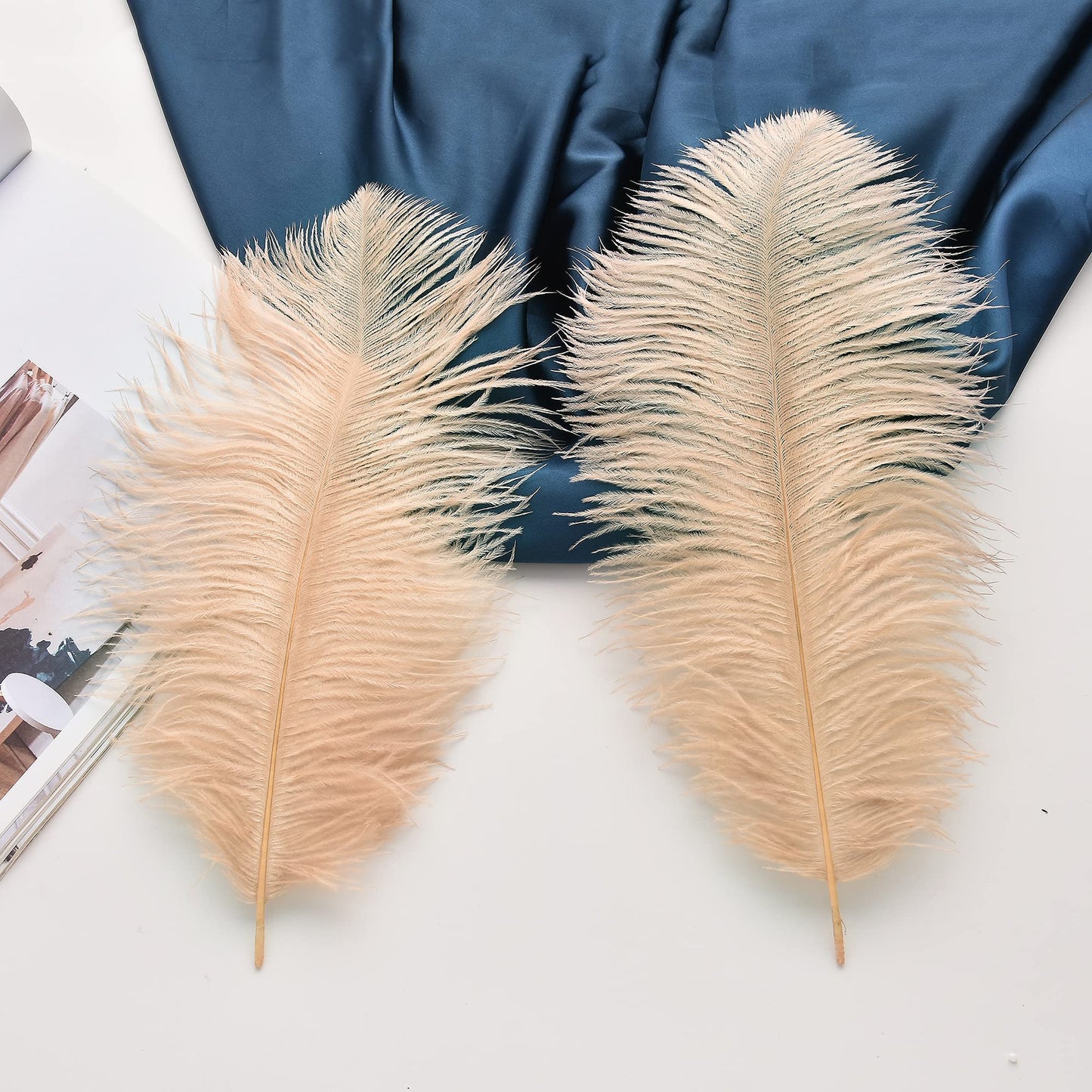 Ballinger Champagne Ostrich Feathers Bulk - 24pcs 10-12inch Boho Feathers for vase and Home Decor Wedding Party Centerpieces