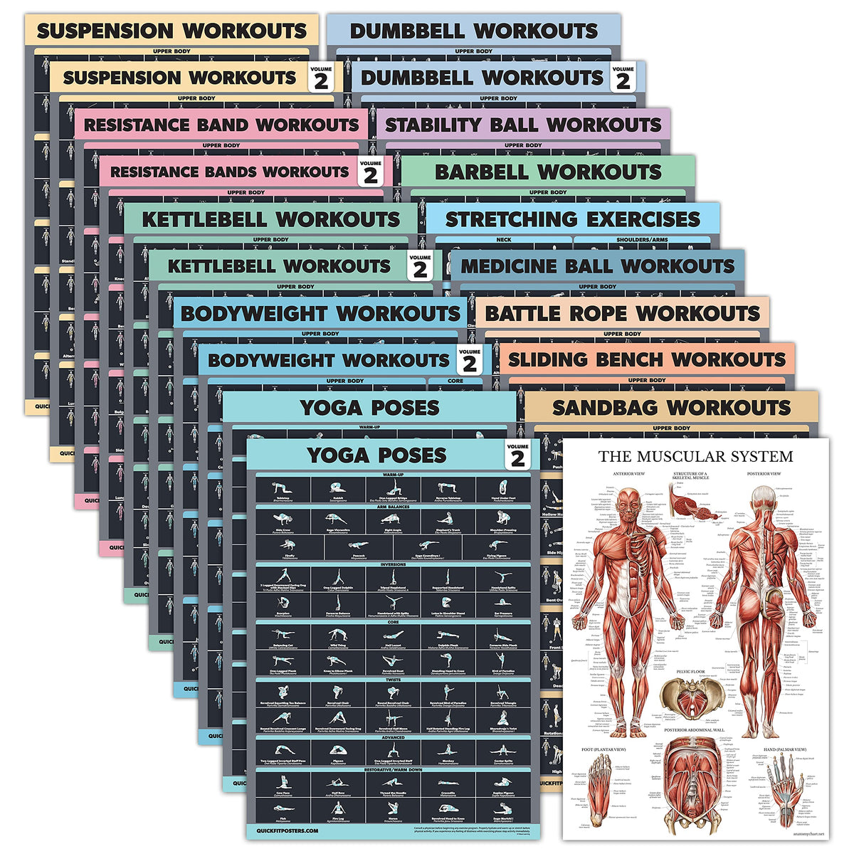 20 Pack - Exercise Poster Set: Dumbbell, Suspension, Battle Rope, Stretching, Bodyweight, Barbell, Yoga, Exercise Ball, Muscular, Kettlebell, Resistance Bands and More [Dark] (LAMINATED, 18” x 24”)