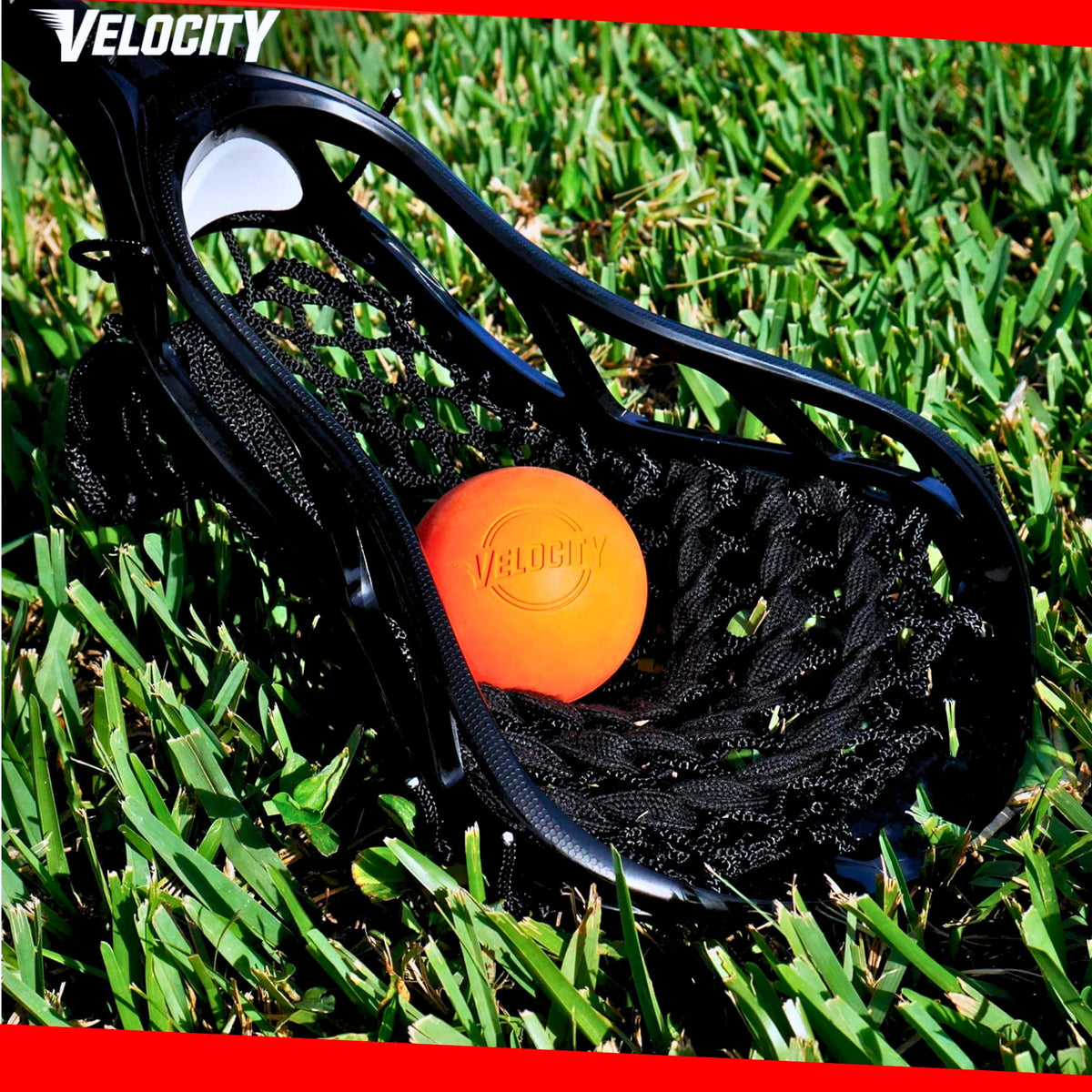 Velocity Practice Lacrosse Balls - 1, 2, 3, 6, 12, 18, 24, 36, 60 and 120 Packs - Official Size and Weight - Teal