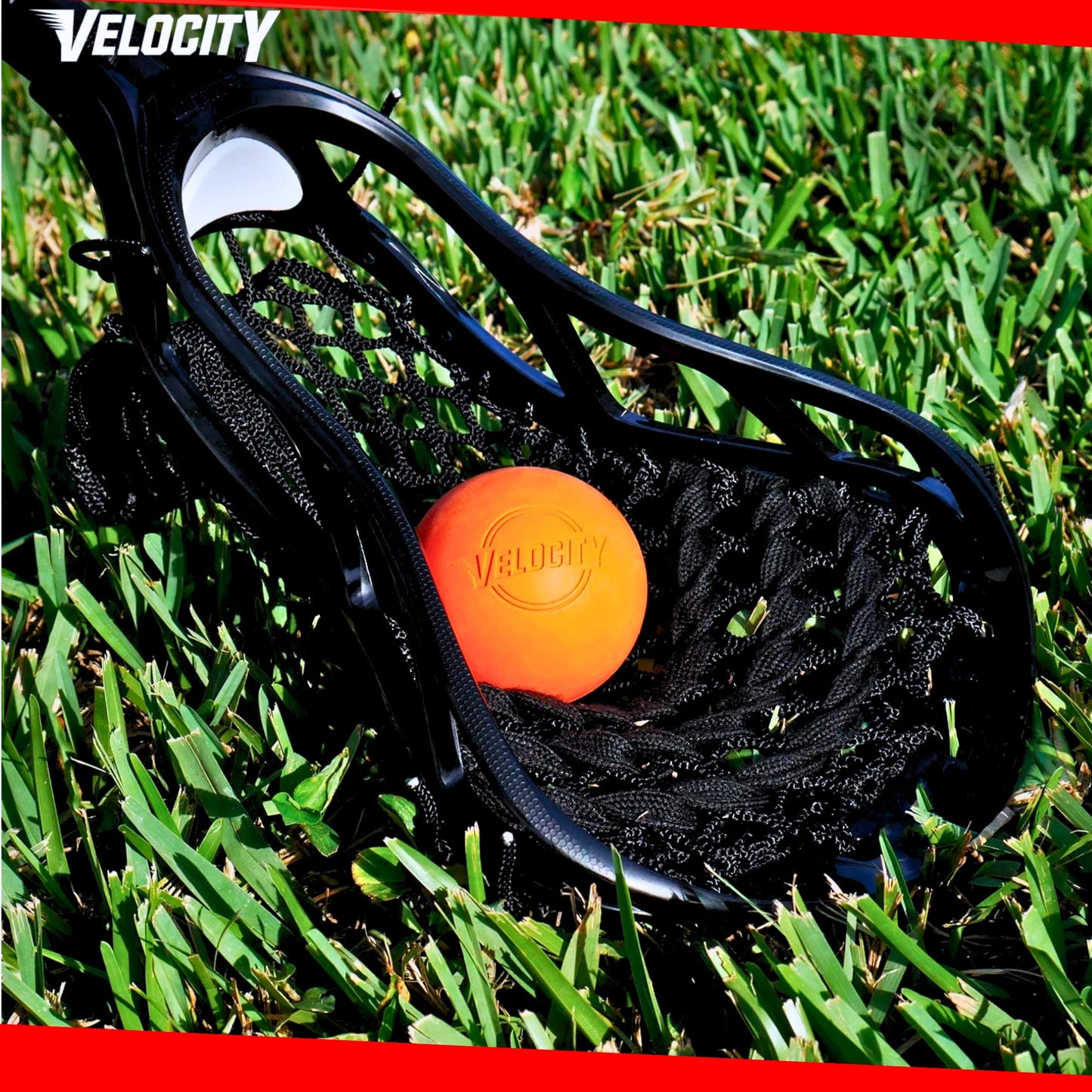 Velocity Practice Lacrosse Balls - 1, 2, 3, 6, 12, 18, 24, 36, 60 and 120 Packs - Official Size and Weight - Multi Color