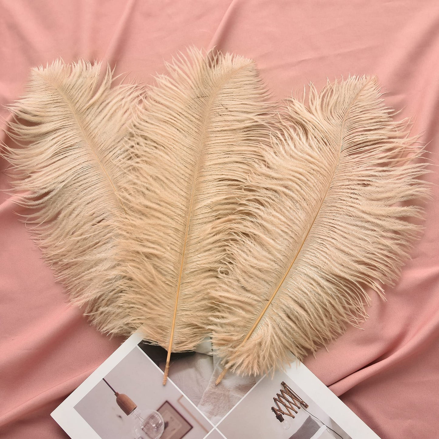 Ballinger Champagne Ostrich Feathers Bulk - 24pcs 10-12inch Boho Feathers for vase and Home Decor Wedding Party Centerpieces
