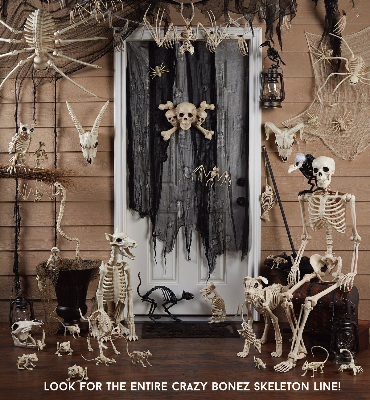 Crazy Bonez Skeleton Spider Halloween Decoration, 20.5 x 12 Inch Bendable Legs, Durable All-Weather Plastic Spooky Prop for Indoor or Outdoor Displays