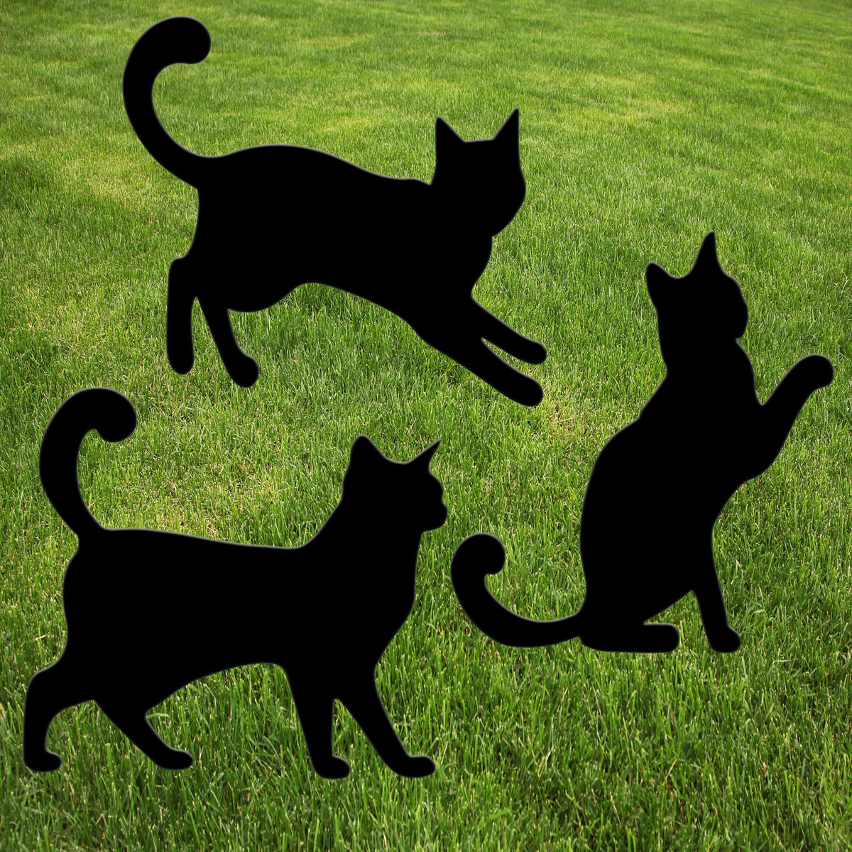 Black Cat Cats Halloween Yard Sign Home Outdoor Lawn Decoration With Stakes Scary Spooky Decor12x12 Inches (3 Pack)